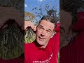“Tapón de Oído Inflable que Bloquea Todo el Ruido”