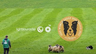 Lightsource bp sponsors 2023 World Sheepdog Trials by Lightsource bp 237 views 6 months ago 1 minute, 52 seconds