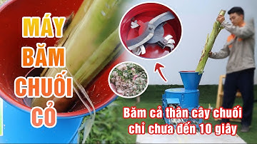 Máy băm Chuối Đa Năng Bình An | Băm cả thân cây chuối chỉ chưa đến 10 giây