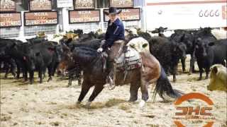 2015 Lucas Oil NCHA Super Stakes Open Classic Finals Highlights