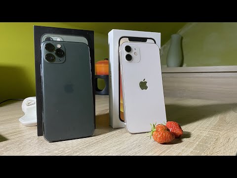 iPhone 12 vs iPhone 11 Pro in 2022 (Which one is better?)