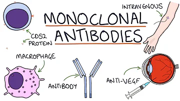 Does MAB mean monoclonal antibody?