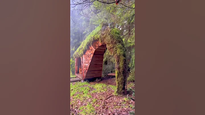 Making our childhood dreams come true #diy #handmade #art #house