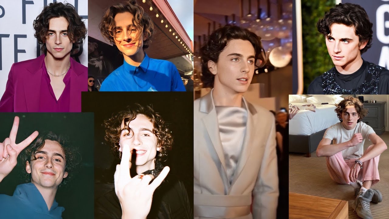timotheé chalamet tiktoks because WHY NOT - YouTube