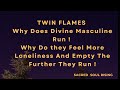 Twin flames why divine masculine feels more empty  why running makes everything feel worse 