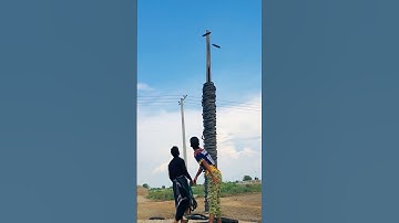 Stop Scrolling and Start Winning #shorts #shortsfeed #youtubeshortsvideo