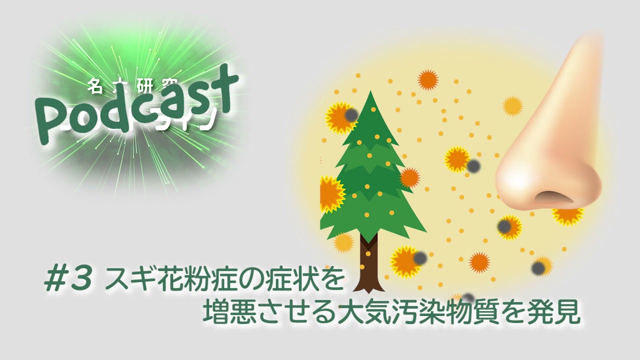 Podcast 3 スギ花粉症の症状を増悪させる大気汚染物質を発見 加藤昌志教授 Youtube