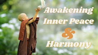 Understanding The Path To Peace And Harmony