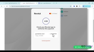 Top#1 WordPress High Risk Payment Gateway: Binance Instant USDC Payouts