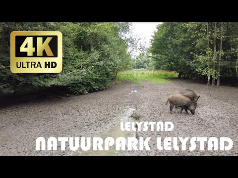 Video: Natuurpark 