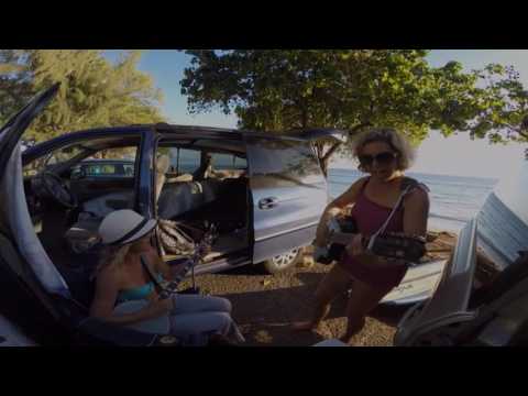 The Dog Walkers- No Regrets "Original"