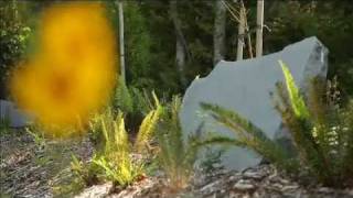 Natural Burial | Green Burial | Victoria BC | Royal Oak Cemetery