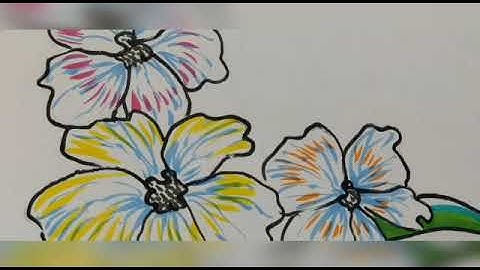 Designer border@sfsnarengi