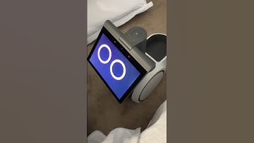 ASTRO, Can You Act Like a MONKEY? 🙈🐒 | Amazon Astro Robot