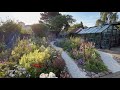 Looking back at our garden in 2023  a year in our cottage garden  perennial garden