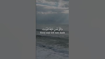 تلاوة من عبد الرحمان مسعد سورة العنكبوت #قرآن