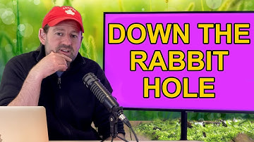 DOWN THE RABBIT HOLE Idiom in English