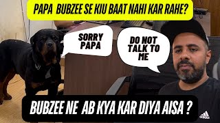 Rottweiler Bubzee Aur Papa Ki Hogayi Bhayank Ladai. #dogs #namitaology #pets