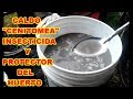 INSECTICIDA Y PREVENTIVO ORGÁNICO [][][] "CALDO CENITOMEA PARA EL HUERTO"