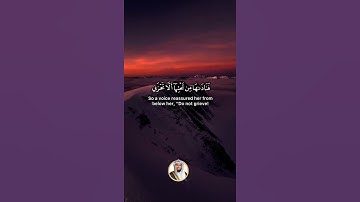 "فناداها من تحتها أن لا تحزني قد جعل ربك تحتك سريا" سورة مريم SURAH MARYAM #عبدالولي_الاركاني