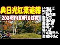 【2026年日光紅葉の参考に】「いろは坂」から「金精峠」まで紅葉具合！明智平・中禅寺湖・日光二荒山神社中宮祠・龍頭の滝(竜頭の滝)・戦場ヶ原・湯滝・湯ノ湖・奥日光湯元温泉など2024年10月10日撮影