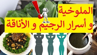 الملوخية و أسرار الرجيم و الأناقة