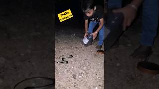 snake Rescued and released. #snake #nonvenomous #nature #chaloGavkiaur #village