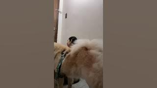 Try to ignore yumi at ayun kinagat nya yung Ano ko 😬