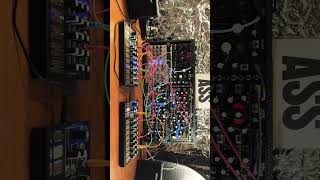 #makenoise #synth #0ctrl #joranalogue #instruo #belagliss