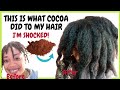 How to make Cocoa Hair Mask For Massive Hair Growth| Turn Gray Hair To Black| Cocoa For Hair Growth