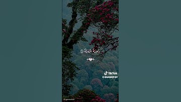 #سورة الفجر_ يا ايتها النفس المطمئنة ارجعي الى ربك راضية مرضية