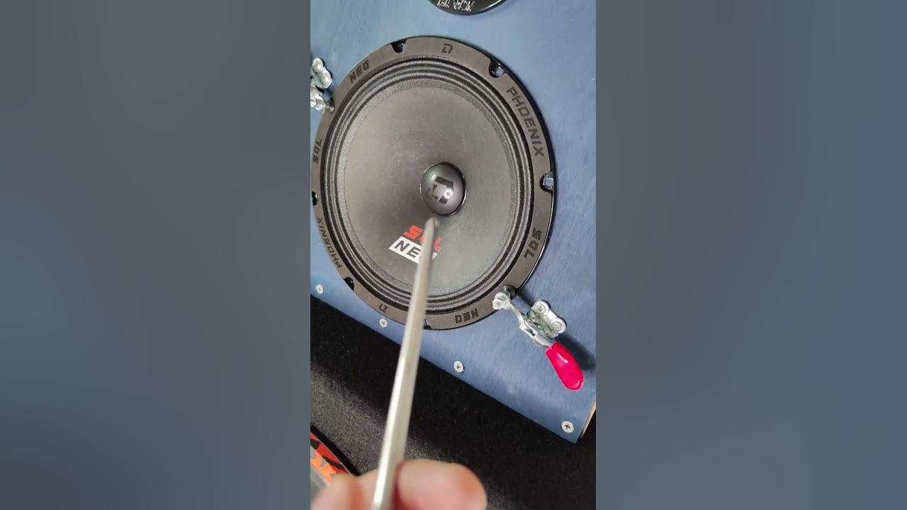 Сабвуфер dl audio piranha 12a se. Сабвуфер dl audio piranha 12a se