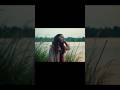 #009 / 365 - Summer #youtubeshorts #cinematic #365 #summer #shoot