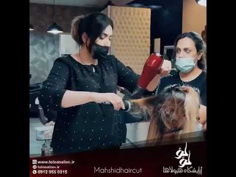 آموزش کوتاهی مو و براشینگ مو شهرک غرب سعادت آباد پونک