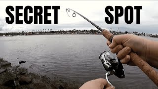 SECRET Shore FISHING SPOT #2 REVEALED | Newport Beach California