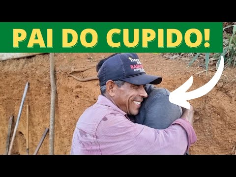 Vídeo: Quem é o pai do cupido?