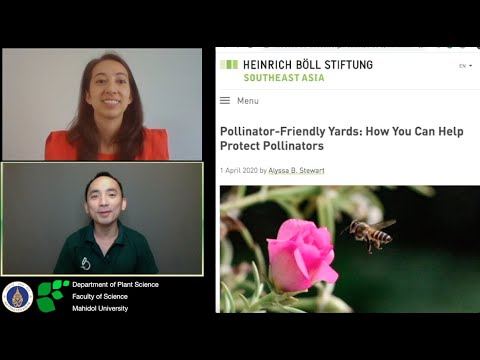 Alyssa Stewart, Pollination Lab, Plant Science Mahidol