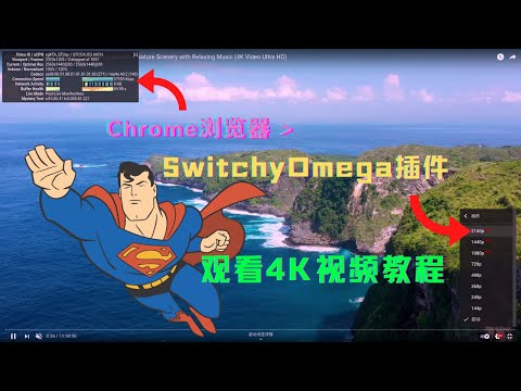 Chrome浏览器插件SwitchyOmega配置自动切换模式教程