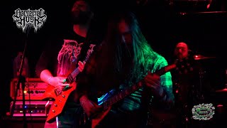 Bacterial Husk live from Middle East Upstairs 2/13/2024 (FULL SET)