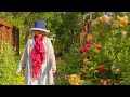 森のような庭と共に暮らす北海道の夏|温室づくりとバラの手入れ|早朝の庭を散歩する91歳のおばあちゃん|ヒレカツと杏のシロップ漬け