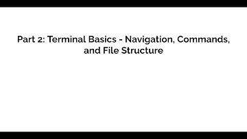 Linux Terminal Basics: Navigation, Commands, and File Structure
