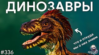 Динозавры — что и откуда мы о них знаем на самом деле c @crazy_paleontologist  | TBBT 336