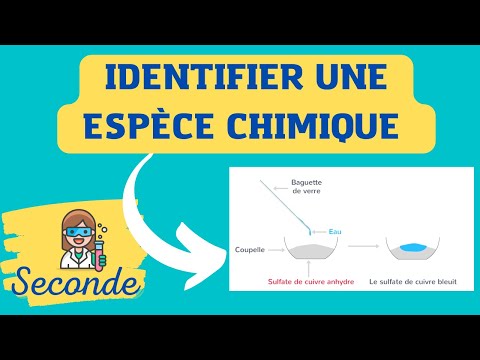 👩‍🔬 How to identify a chemical species? CHEMISTRY - SECOND