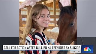 Bullied Teen Takes Own Life 2 Days After Students Took Video of Assault at NJ School | NBC New York