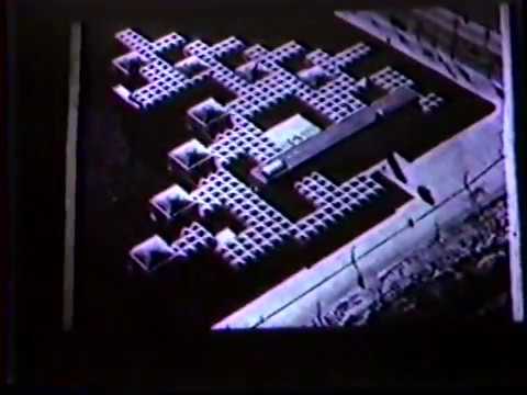 Aldo van Eyck & Christian Norberg-Schulz (1985)