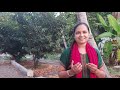 Orungam Vishudhiyode#trending #music #song #singer #viralvideo #devotional #jesus 