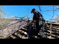 Harvesting Building Materials From The Collapsed Barn On The 140 Year Old Farm