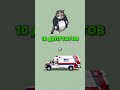 10 ДЕПУТАТОВ = 1 СКОРАЯ ПОМОЩЬ 🤯 🏥