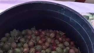 Наивкуснейший мохито!!!!!