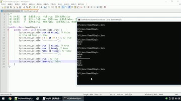 Java语法 031 逻辑运算符